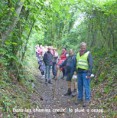 /album/a30-juin-2016-rando-picnic-montaigu/a2016-06-30-rando-picnic-montaigu-10t-1014x1024-jpg/